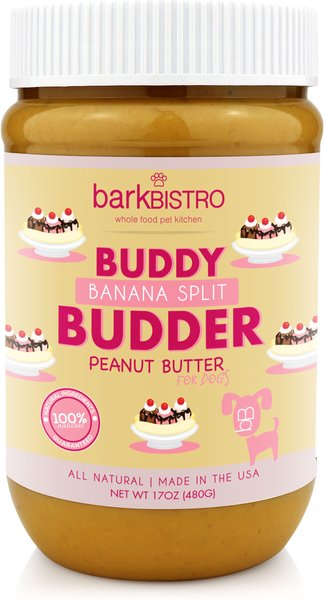 Bark Bistro Company Birthday Bash Buddy Budder Dog Treat, 17-oz Jar