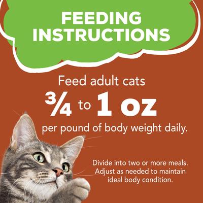 Show full view: Friskies Classic Pate Mixed Grill Canned Cat Food, 13-oz, case of 12 slide 10 of 12