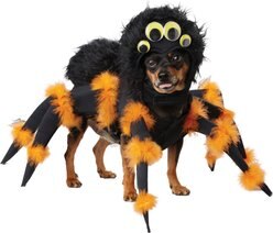California Costumes Spider Pup Dog Costume, X-Small slide 2 of 3