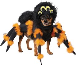 California Costumes Spider Pup Dog Costume, Small slide 2 of 3