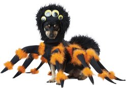 California Costumes Spider Pup Dog Costume, Large
