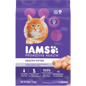 Iams ProActive Health Kitten Dry Cat Food, 16-lb bag, bundle of 2