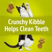 Show in main carousel: Friskies Party Mix Morning Munch Crunch Flavor Crunchy Cat Treats, 2.1-oz bag slide 4 of 11