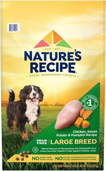 Nature's Recipe Large Breed Grain-Free Chicken, Sweet Potato & Pumpkin Recipe Dry Dog Food, 24-lb bag slide 1 of 10