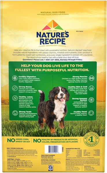 Nature's recipe 24 lb best sale