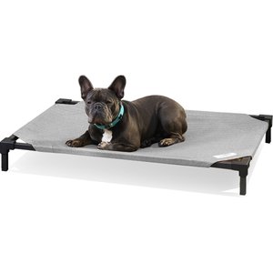 Coolaroo Pro Elevated Dog & Cat Bed, Steel, Medium