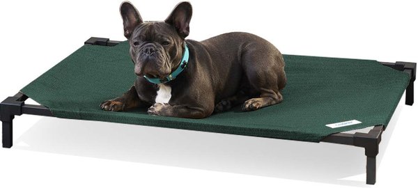 Coolaroo Pro Elevated Dog & Cat Bed, Brunswick Green, Medium slide 1 of 7