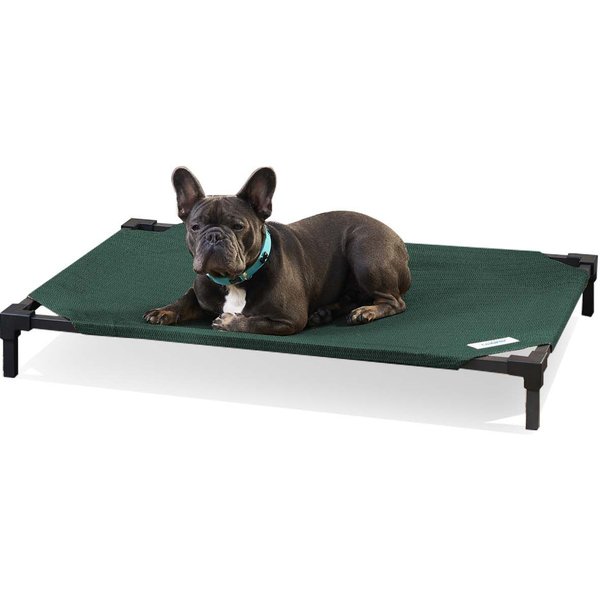 HDP Padded Napper Elevated Dog Bed, Blue, Medium
