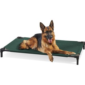 Coolaroo Pro Elevated Dog & Cat Bed, Brunswick Green, Large