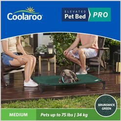 Coolaroo Pro Replacement Cover Elevated Dog & Cat Bed, Brunswick Green, Medium slide 2 of 7