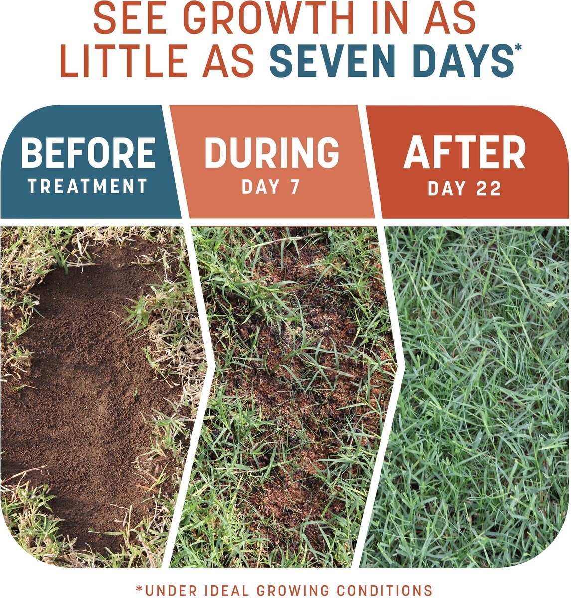 PENNINGTON Smart Patch Bermudagrass Mix Dog LawnTreatment & Grass