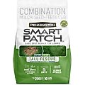 Pennington Smart Patch Tall Fescue Mix Dog Lawn-Treatment & Grass Saver, 10-lb bag