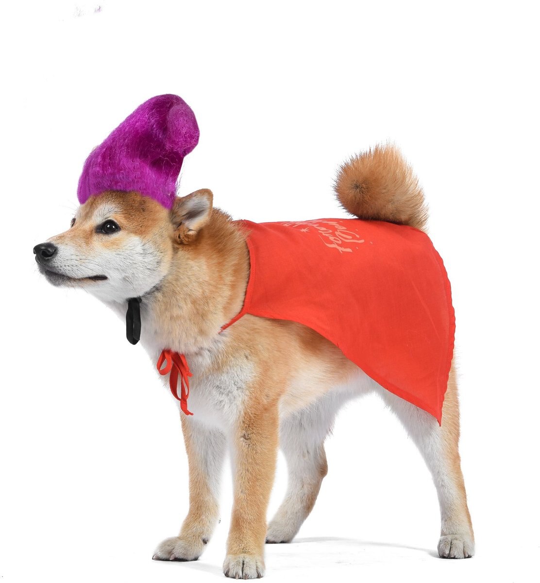 DISNEY Hocus Pocus Halloween Mary Sanderson Cape & Pet Wig Dog Costume with PVC Bag & Insert