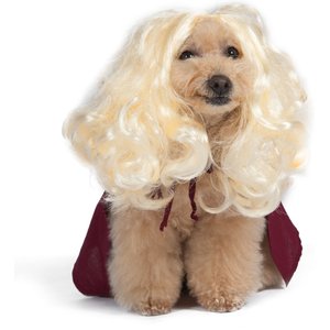 Disney Hocus Pocus Halloween Sarah Sanderson Cape & Pet Wig Dog Costume with PVC Bag & Insert Card, Small