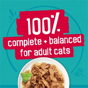 Friskies Tasty Treasures Gravy Prime Filets Variety Pack Wet Cat Food, 5.5-oz can, case of 24