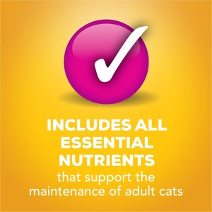 Friskies Tasty Treasures Gravy Prime Filets Variety Pack Wet Cat Food, 5.5-oz can, case of 24