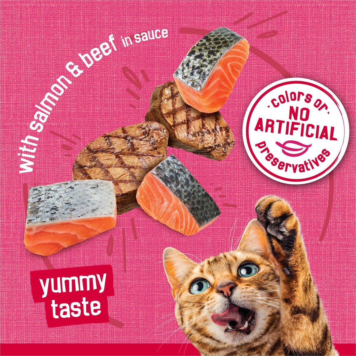 Iams Premium Filets with Salmon in Sauce Canned Cat Food