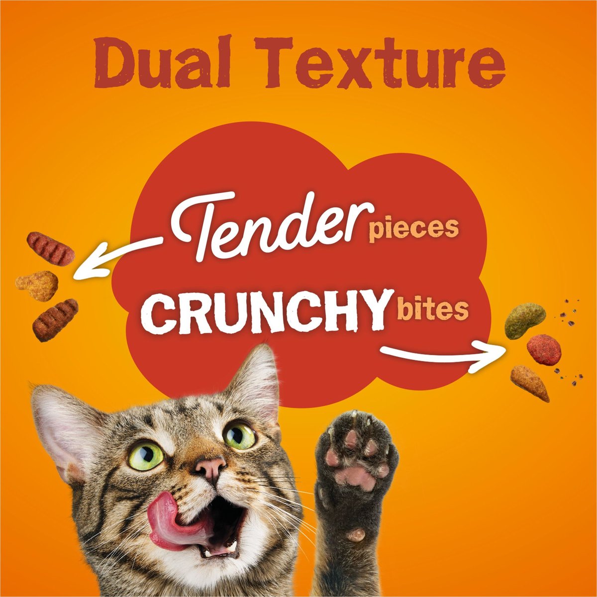 Purina Friskies Tender & Crunchy Combo Adult Dry Cat Food Chicken, Beef