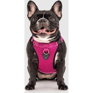 Canada Pooch Everything Dog Harness, Pink, Medium