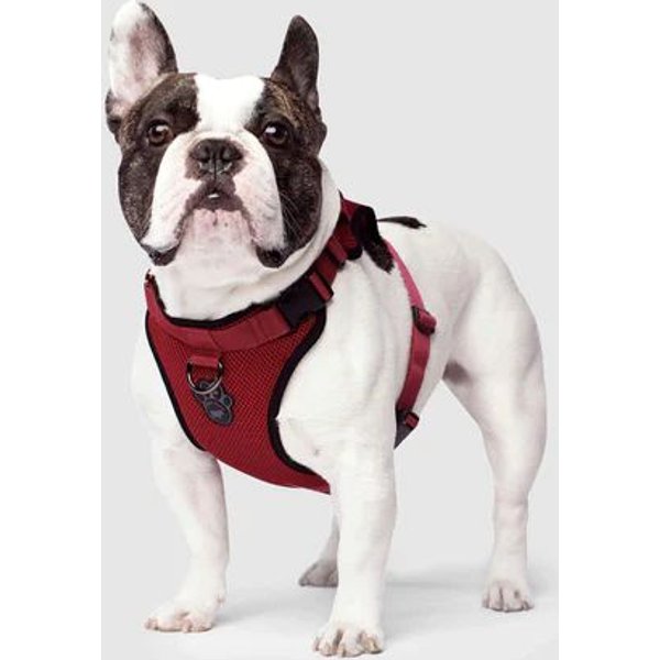 HDP Car Dog Harness & Safety Seat Belt Travel Gear, Red, Small