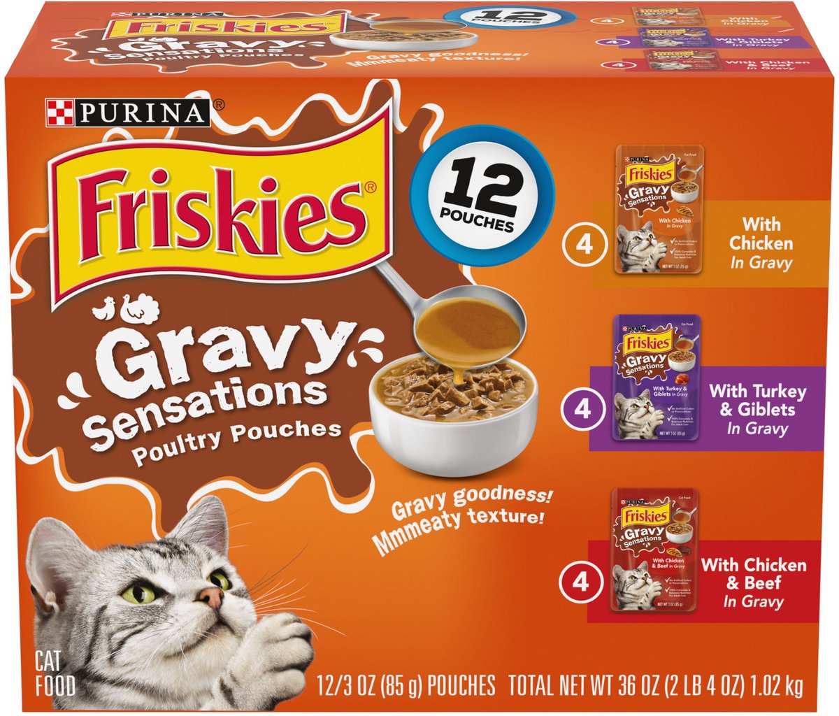 Cat food best sale in pouches