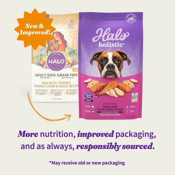 Halo Holistic Complete Digestive Health Grain-Free Turkey & Sweet Potato Dog Food Recipe Adult Dry Dog Food