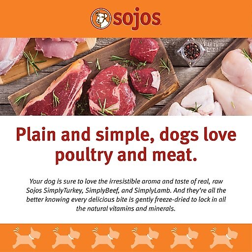 Sojos Simply Turkey Freeze-Dried Dog Treats, 4-oz bag