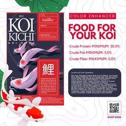 IKU KOI KICHI Color Enhancer Koi Fish Food, 2-lb bag slide 2 of 2