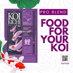 IKU KOI KICHI Pro Blend Koi Food, 16-lb bag slide 2 of 2