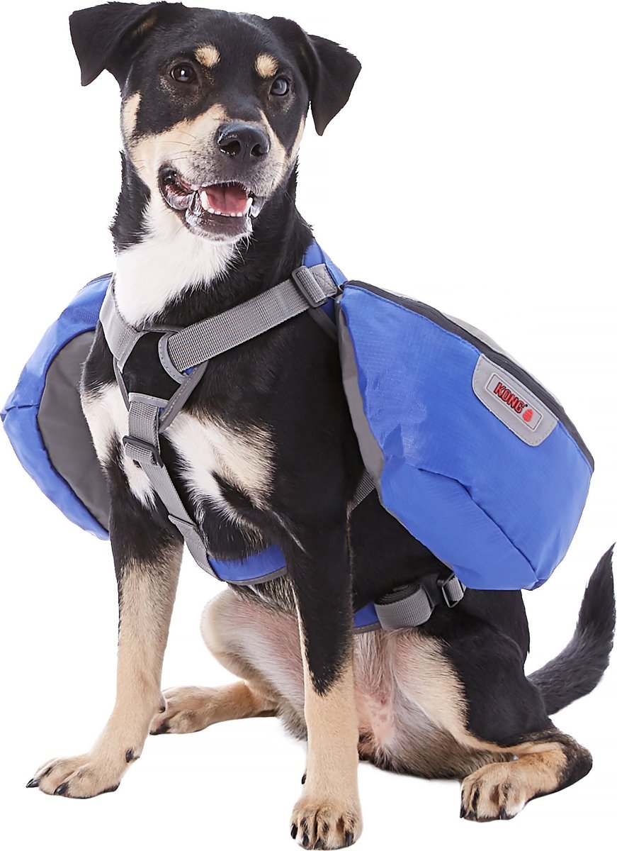 Kong 2025 dog backpack