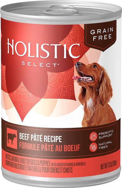 chewy holistic select