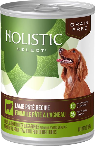 Holistic Select Lamb Pate Recipe Grain-Free Canned Dog Food, 13-oz, case of 12 slide 1 of 8