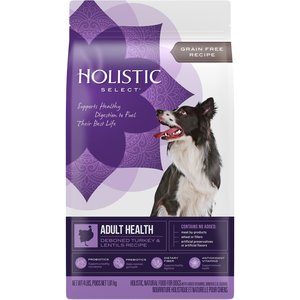 Holistic Select Adult Health Grain-Free Deboned Turkey & Lentils Recipe Dry Dog Food, 4-lb bag