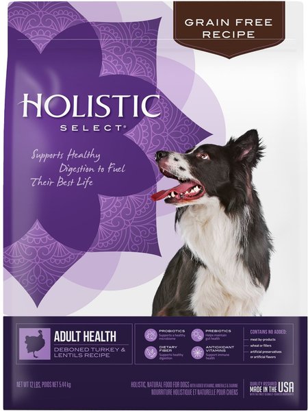 Holistic Select Adult Health Grain-Free Deboned Turkey & Lentils Recipe Dry Dog Food, 12-lb bag slide 1 of 10