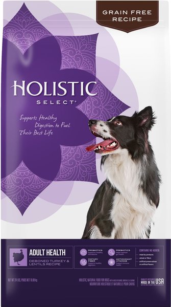 Holistic Select Adult Health Grain-Free Deboned Turkey & Lentils Recipe Dry Dog Food, 24-lb bag slide 1 of 10
