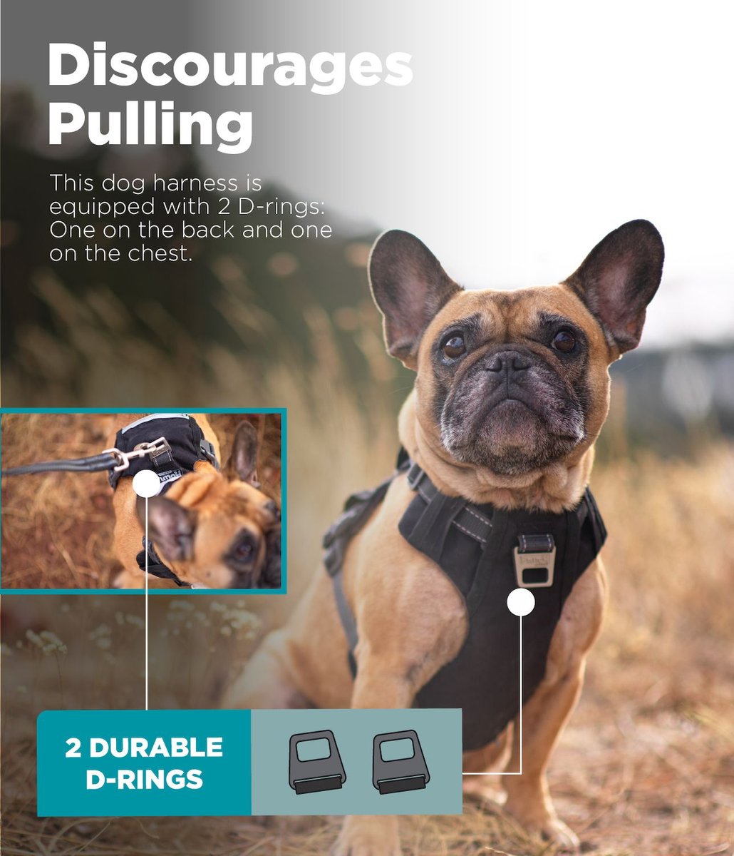 Dog harness with outlet pockets