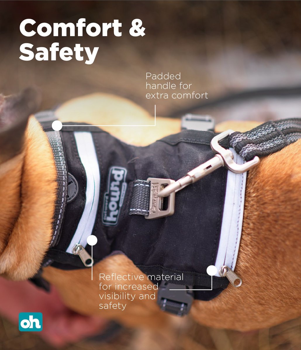 Outward hound dog outlet harness