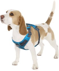 Outward Hound Boulder Adventure Adjustable w/Pockets Dog Harness, Tourqouise, Small