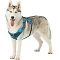Outward Hound Boulder Adventure Adjustable w/Pockets Dog Harness, Tourqouise, Large