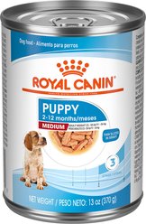 Royal Canin Size Health Nutrition Medium Puppy Thin Slices in Gravy Wet Dog Food, 13-oz, case of 12