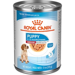 Royal Canin Size Health Nutrition Medium Puppy Thin Slices in Gravy Wet Dog Food, 13-oz, case of 12