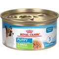 Royal Canin Size Health Nutrition X-Small Puppy Thin Slices in Gravy Wet Dog Food, 3-oz, case of 24