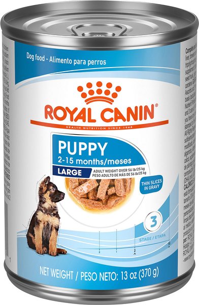 Royal Canin Size Health Nutrition Large Puppy Thin Slices in Gravy Wet Dog Food, 13-oz, case of 12 slide 1 of 9
