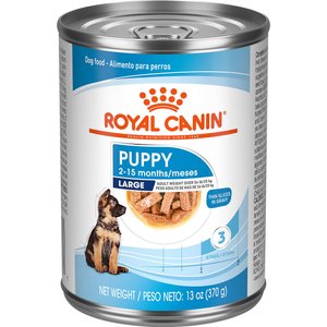 Royal Canin Size Health Nutrition Large Puppy Thin Slices in Gravy Wet Dog Food, 13-oz, case of 12