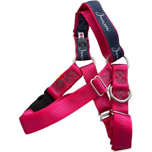 JWalker Dog Harness, Raspberry, Medium/Large