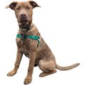 JWalker Dog Harness, Emerald Green, Small/Medium