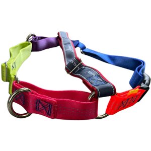 JWalker Dog Harness, Rainbow, X-Large