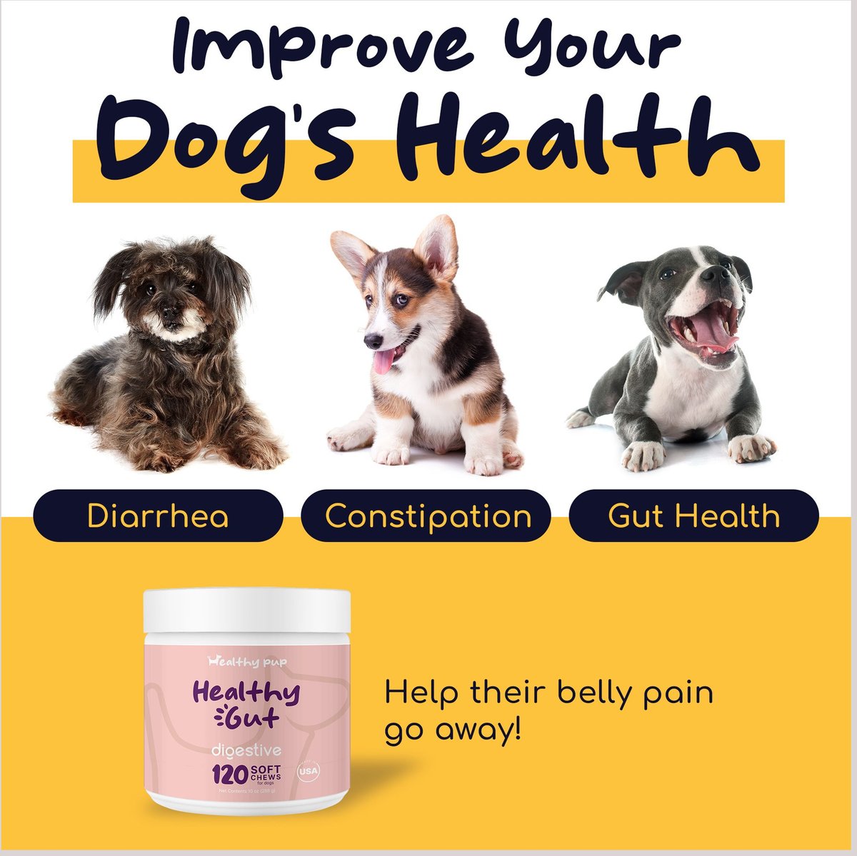 HEALTHY PUP Probiotic Soft Chews Digestive Aid for Dogs, 120 count