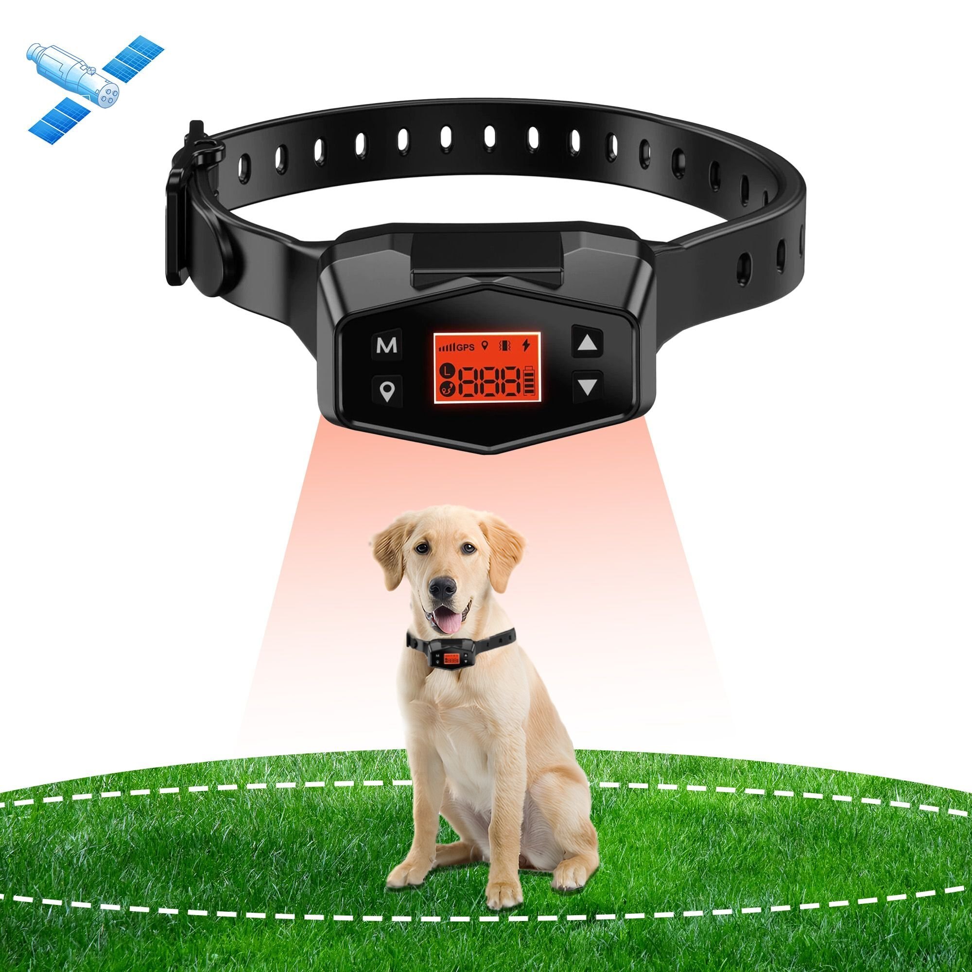 PETDIARY F800 GPS Wireless Outdoor Electric Dog GPS & Activity Tracker
