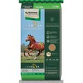 Nutrena Empower Topline Balance Horse Supplement, 40-lb bag